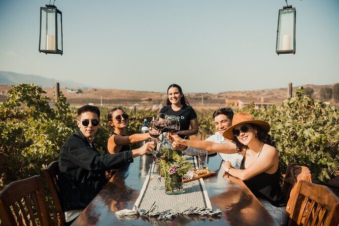 Tasting and tour through the vineyard - An In-Depth Look at the Vineyard Tour and Tasting in Ensenada
