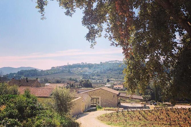 Tasting Bandol Wines & Visit of Cellar (in English) - Who Will Love This Tour?