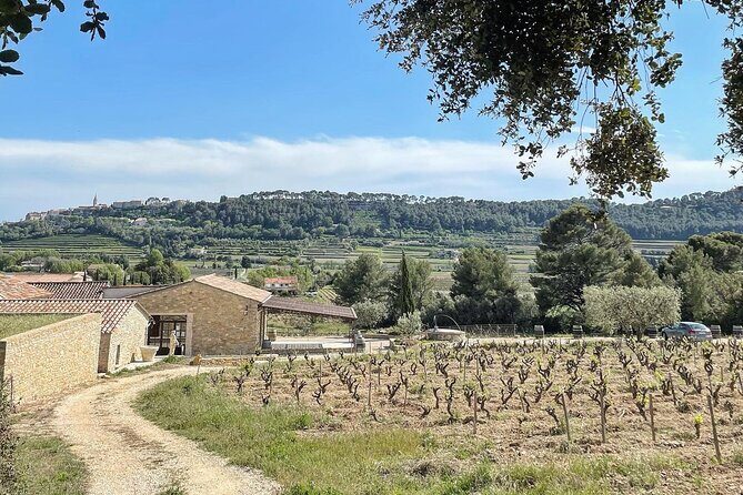 Tasting Bandol Wines & Visit of Cellar (in English) - FAQs