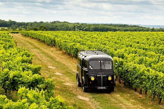 Tasting Bourgoin Cognac the real winegrower's cognac - An In-Depth Look at the Bourgoin Cognac Tour