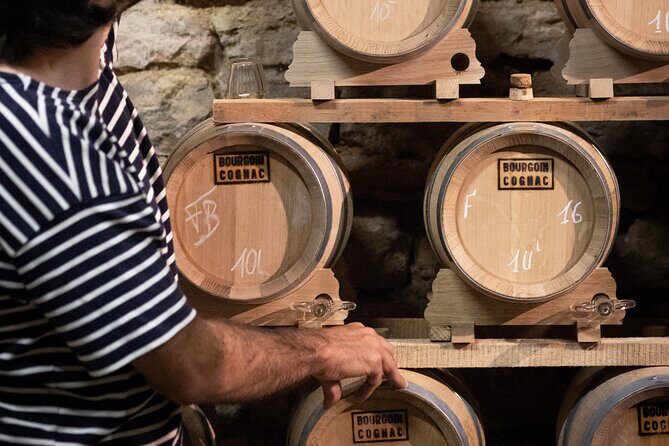 Tasting Bourgoin Cognac the real winegrower's cognac - Who Will Love This Tour?