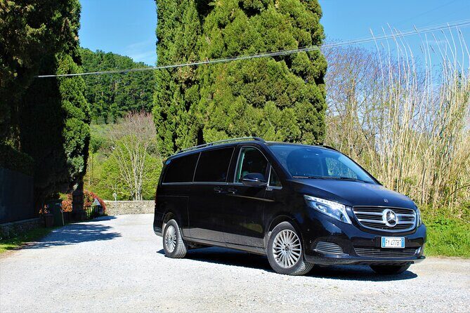 Tasting in a Tuscan Vineyard with transfer from Lucca - Final Thoughts