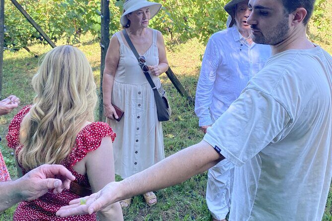 Tasting in a Tuscan Vineyard with transfer from Pisa - A Closer Look at the Tour Experience