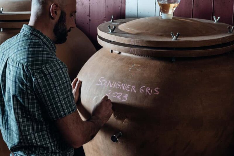 Tasting in the cellar, Caprino Veronese, Pesina - Key Points