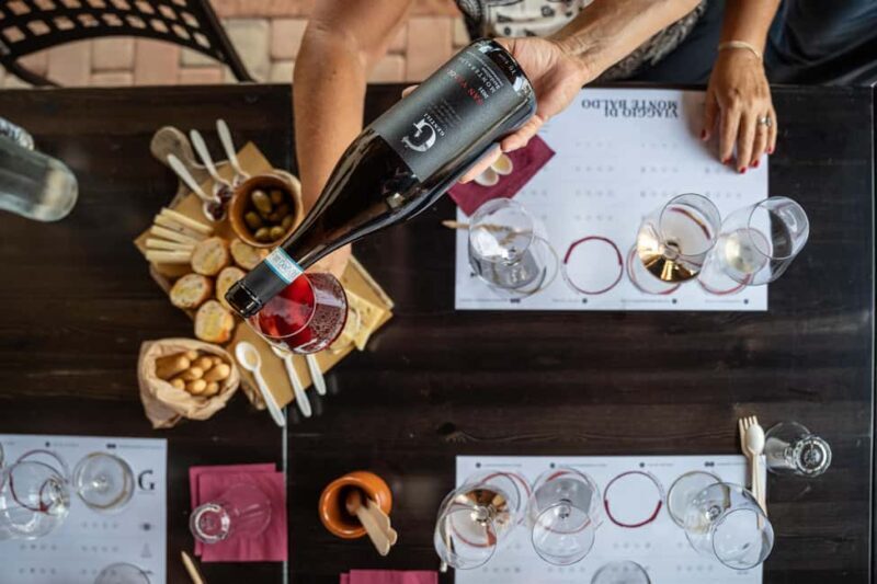 Tasting in the cellar, Caprino Veronese, Pesina - An Inside Look at the Cellar Tasting Experience in Veneto