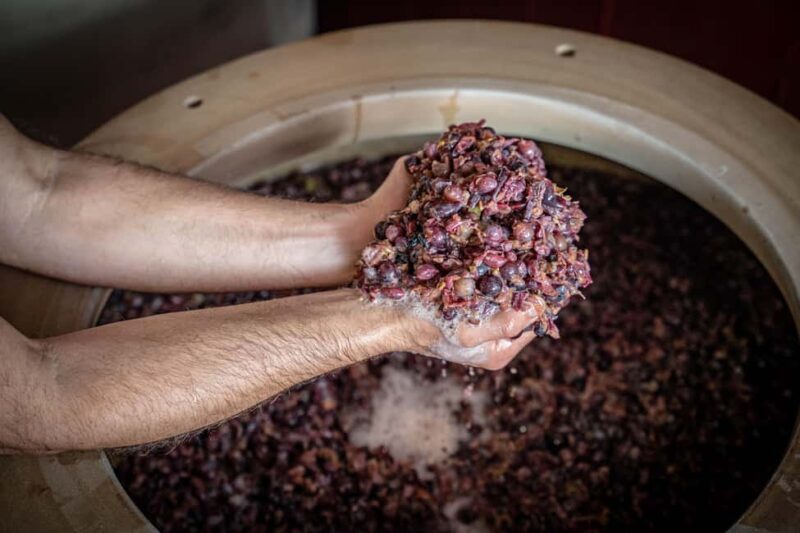 Tasting in the cellar, Caprino Veronese, Pesina - FAQ