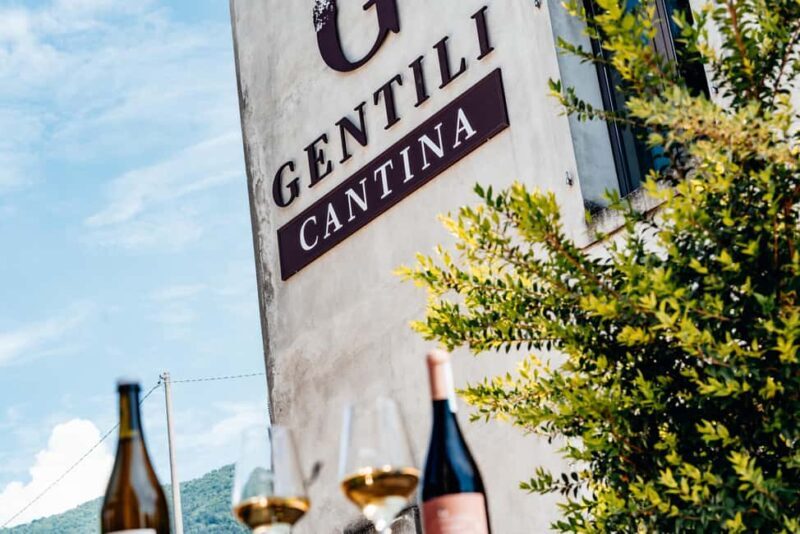 Tasting in the cellar, in Caprino Veronese, Pesina. - Key Points