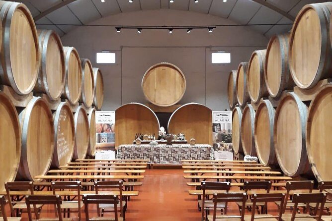 Tasting in the historic cellar of Marsala - Who Will Love This Tour?