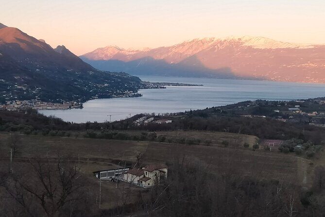 Tasting of 4 Valtenesi wines with local food in Salò - A Closer Look at the Experience