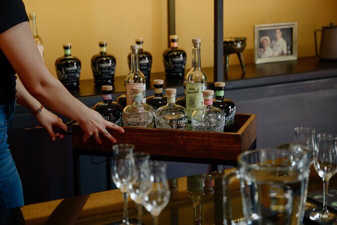 Tasting of Mezcal with the best selling brand in Oaxaca - Who Should Book This Tour?