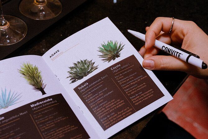 Tasting of Mezcal with the best selling brand in Oaxaca - Frequently Asked Questions (FAQs)