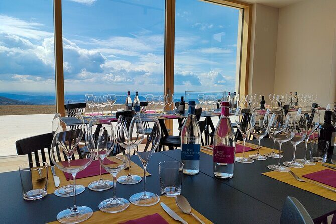 Tasting of Organic Mountain Wines with Vineyard and Cellar Tour - A Detailed Look at the Vineyard and Cellar Tour