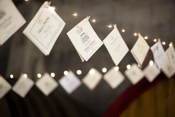 Tasting of Rosso Piceno DOC Superiore - Villa Pigna winery - The Value and Practicalities