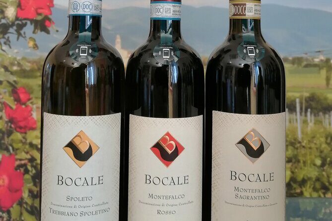 TASTING Selection of 3 wines in Montefalco - Introducing the Experience: A Tasting in Montefalco’s Bocale Winery