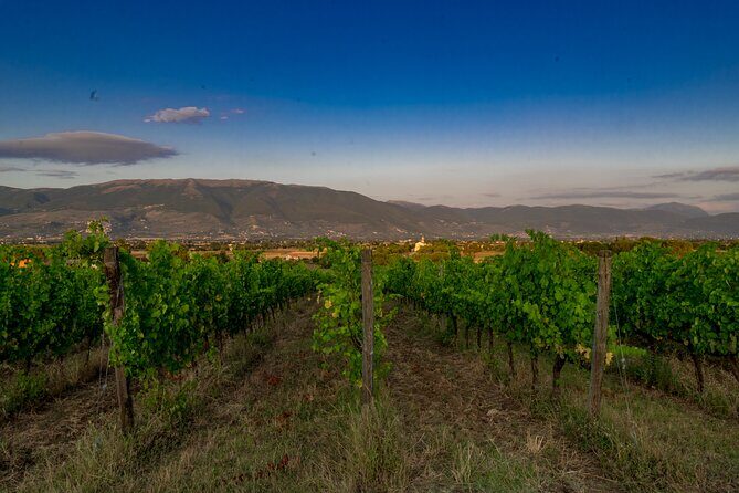 TASTING Selection of 3 wines in Montefalco - Key Points