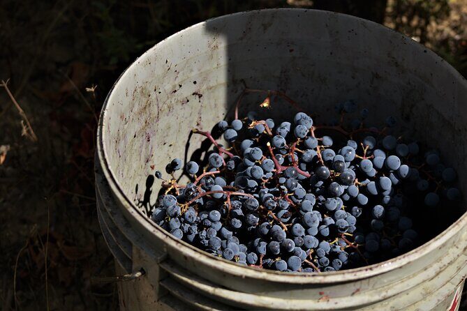 Tasting Selection of 4 wines in Montefalco - FAQs