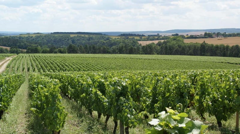 Tasting: Sparkling Discovery - An Introduction to the Sparkling Experience