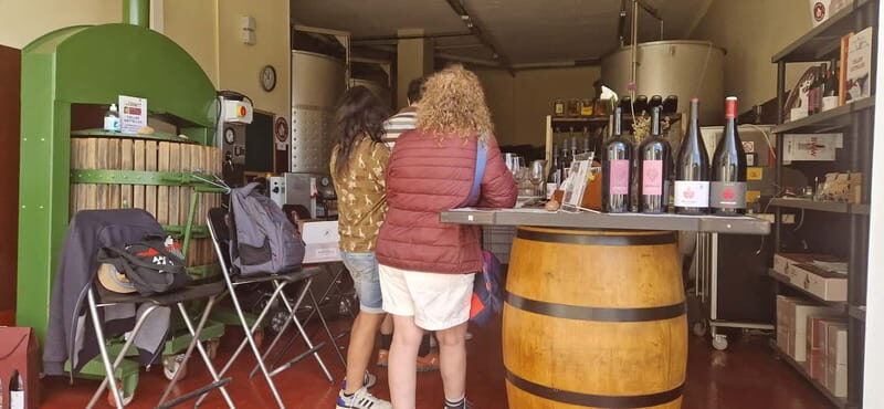 tasting wines in the vineyards with hotel pickup hotel - Exploring the Catalonia Wine Tour: What to Expect