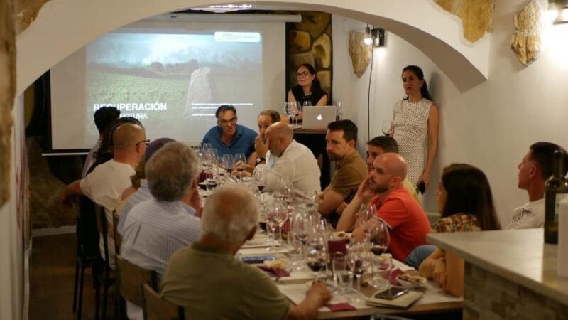 Tasting: Wines of Andalusia and Pairing - Who Is This Tour Best For?
