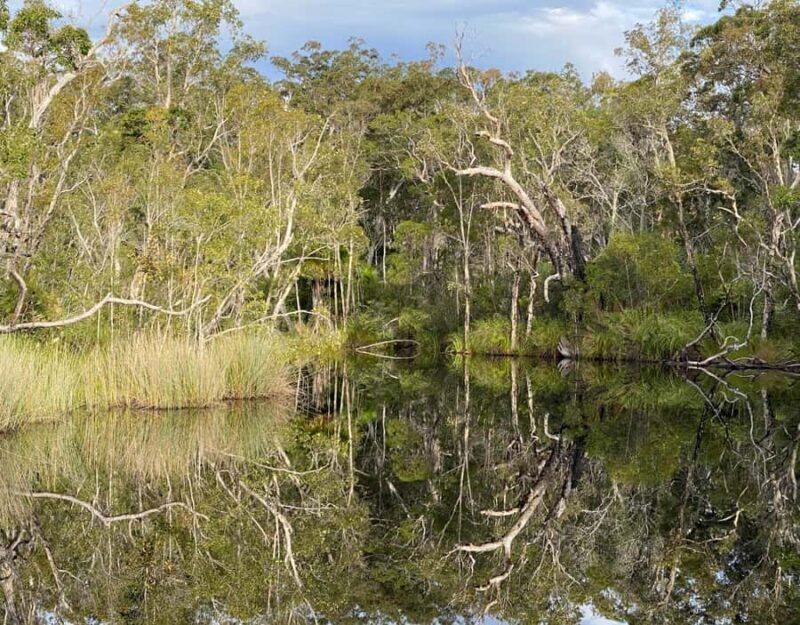 Tasty Noosa Everglades - Key Points