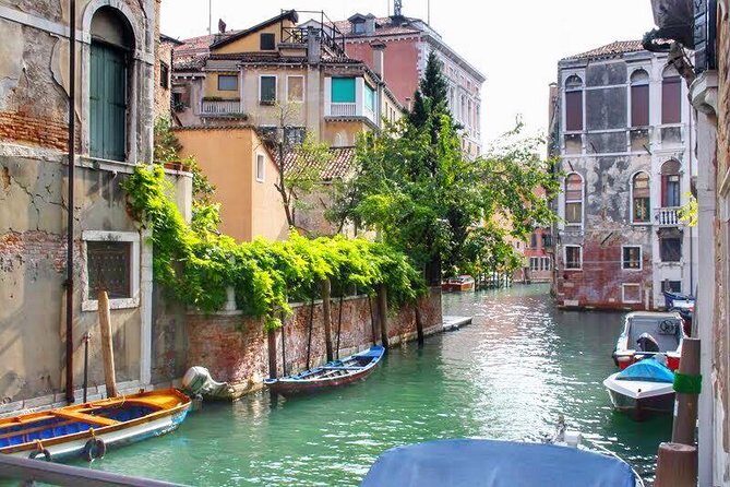 Tasty Street Food Tour of Venice City Center with Cicchetti & Local Specialties - Final Thoughts