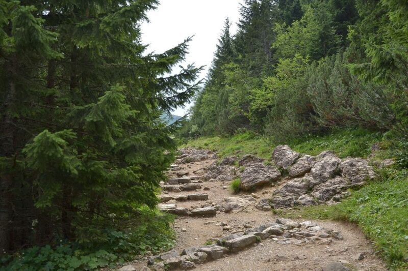 Tatras Mountains: Full-day Hiking Tour from Krakow - FAQ