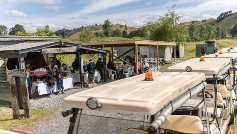 Taumarunui: Forgotten World Rail Cart Tour with Lunch - Key Points