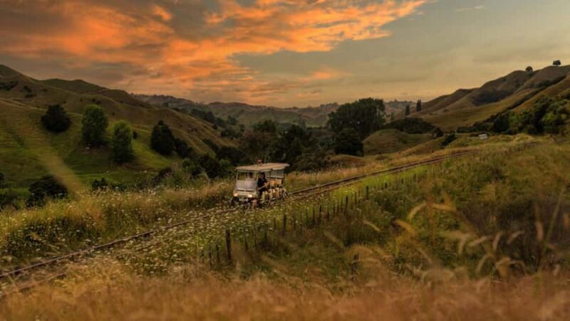 Taumarunui: Forgotten World Rail Cart Tour with Lunch - An Authentic Ride on the Forgotten World Railway