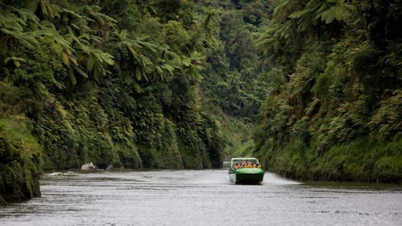 Taumarunui: Railcart and Jetboat Adventure with lunch - Taumarunui: Railcart and Jetboat Adventure with Lunch