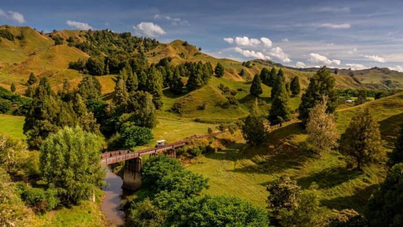 Taumarunui: Railcart and Jetboat Adventure with lunch - Final Thoughts: Who Will Love This Tour?