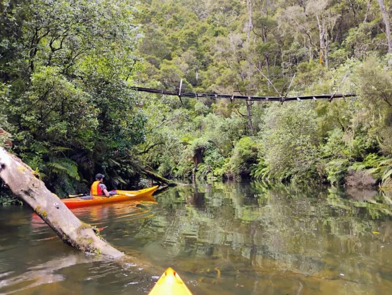 Taup: Hidden Lake Kayak Tour with Sunken Forest Views - Key Points