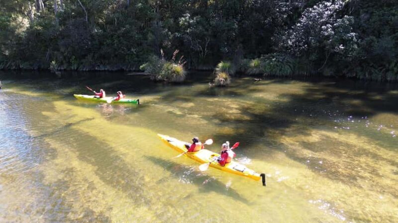 Taup: Hidden Lake Kayak Tour with Sunken Forest Views - An Introduction to the Hidden Lake Kayak Tour