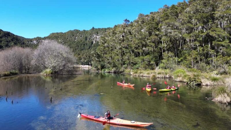 Taup: Hidden Lake Kayak Tour with Sunken Forest Views - What’s Included and What to Bring