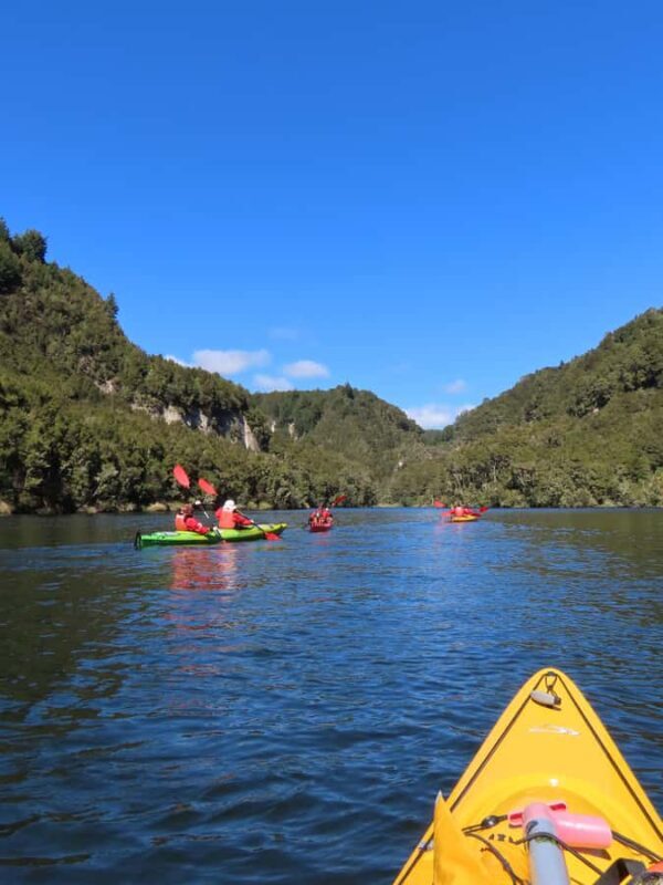 Taup: Hidden Lake Kayak Tour with Sunken Forest Views - The Experience from a Traveler’s Perspective
