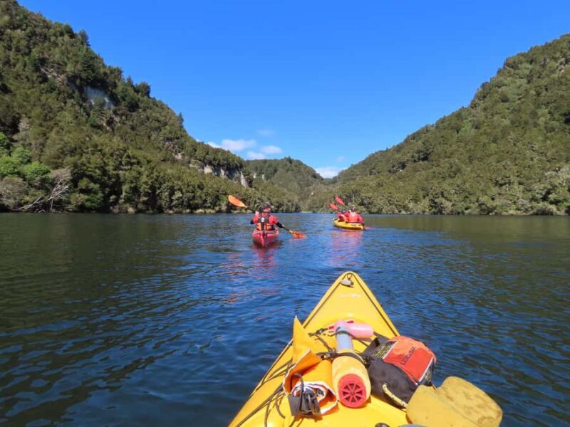 Taup: Hidden Lake Kayak Tour with Sunken Forest Views - Who Would Enjoy This Tour?