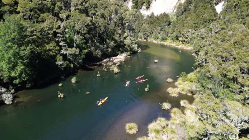 Taup: Hidden Lake Kayak Tour with Sunken Forest Views - The Sum Up