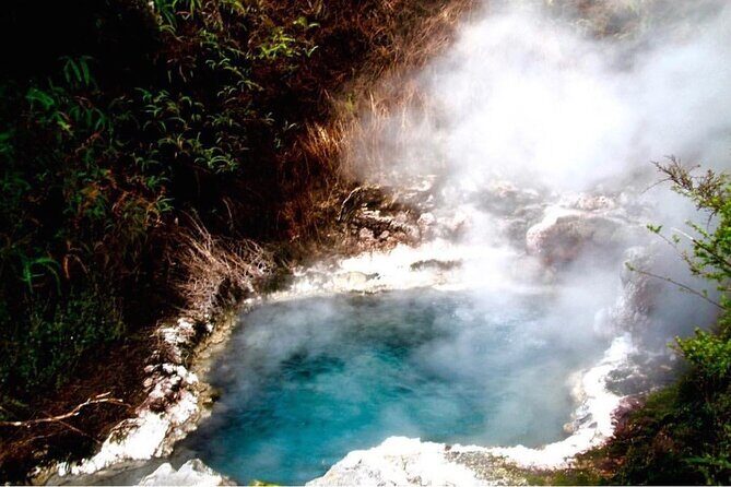 Taupo Day Trip with Orakei Korako or Waiotapu from Rotorua - Key Points