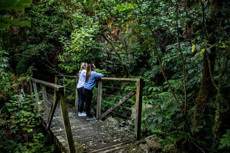 Taupo: Lake Taupo Western Bays Catamaran Tour with Bush Walk - Practical Details