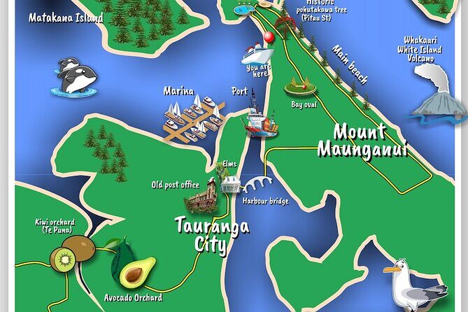 TAURANGA City & Scenic Sightseeing 2-hour Local Bus Tour - Exploring Tauranga and Mount Maunganui: A Practical Review of the 2-Hour Scenic Bus Tour