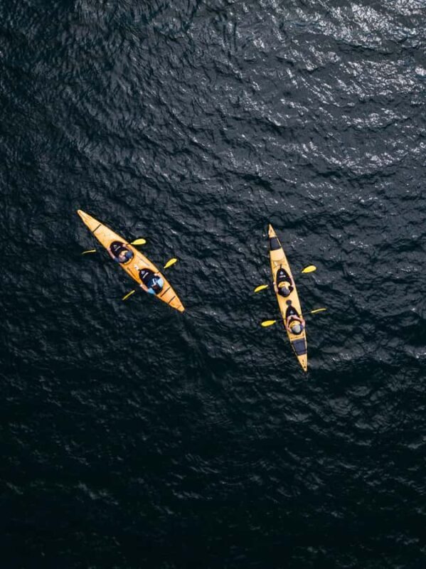 Tauranga: Daytime Scenic Lake McLaren Kayak Tour - Key Points