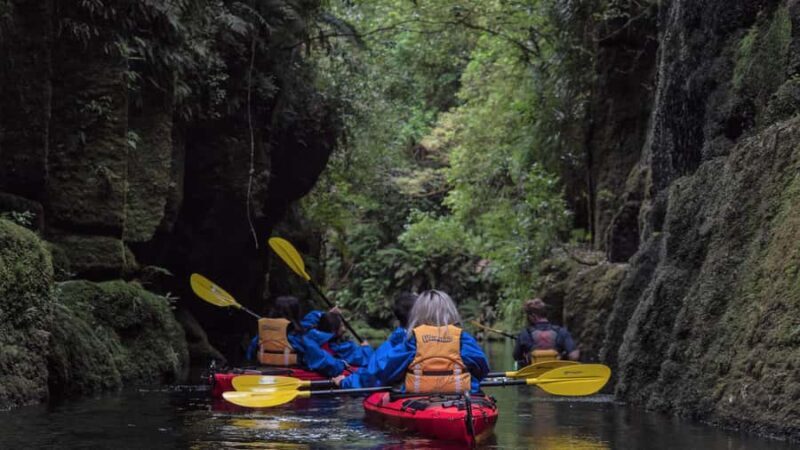 Tauranga: Daytime Scenic Lake McLaren Kayak Tour - The Value of This Experience