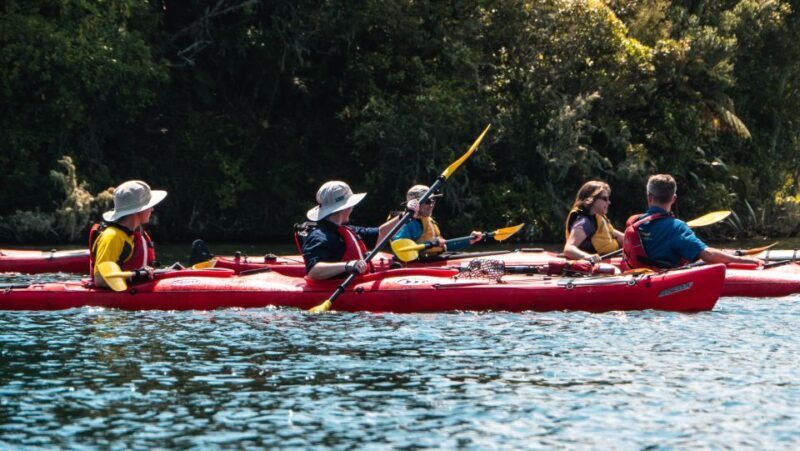 Tauranga: Daytime Scenic Lake McLaren Kayak Tour - Who Will Love This Tour?