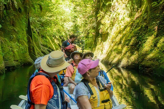 Tauranga Daytime Scenic Lake McLaren Tour - What Is the Tauranga Scenic Lake McLaren Tour Really Like?