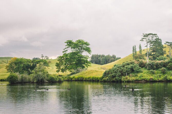 Tauranga Daytime Scenic Lake McLaren Tour - Practical Tips for Travelers