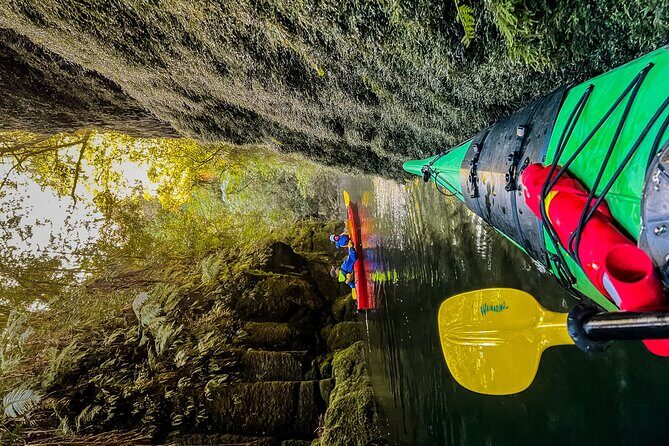 Tauranga Daytime Scenic Lake McLaren Tour - FAQs