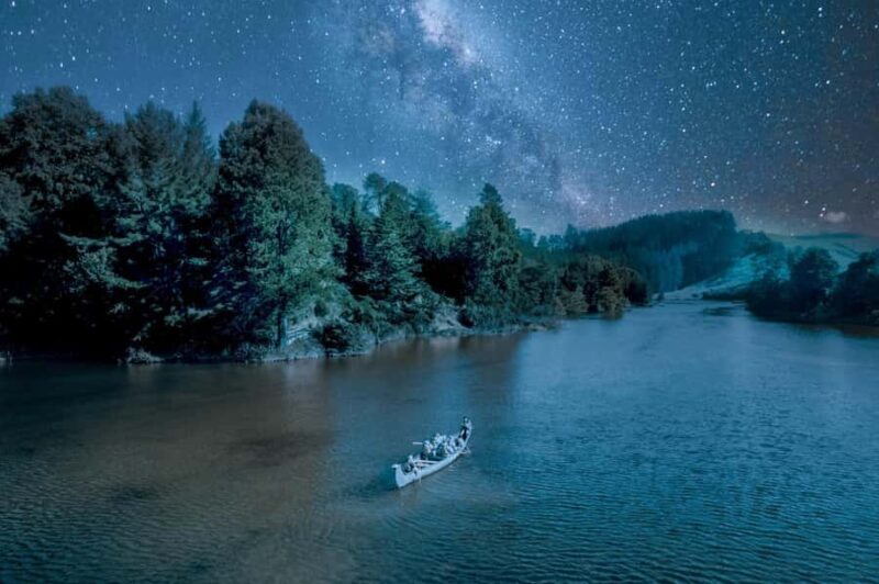 Tauranga: Evening Big Kanu Glowworm Tour - Key Points