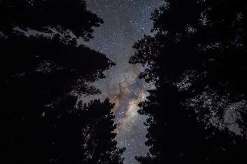 Tauranga: Evening Big Kanu Glowworm Tour - Authentic Traveler Feedback