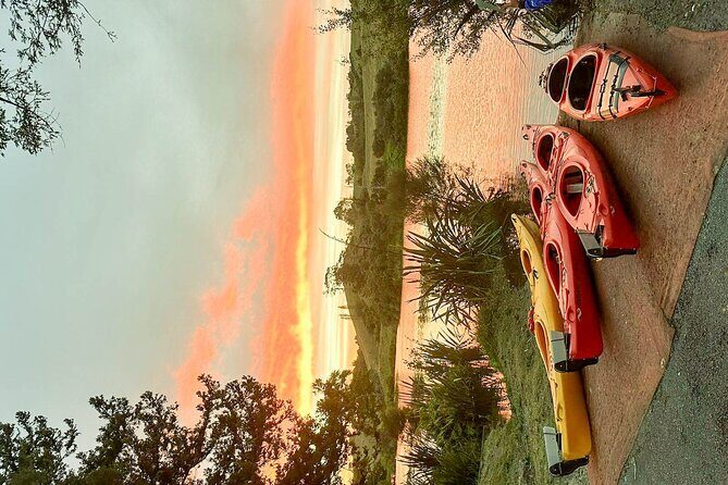 Tauranga: Evening Glowworm Kayak Tour - The Itinerary in Detail