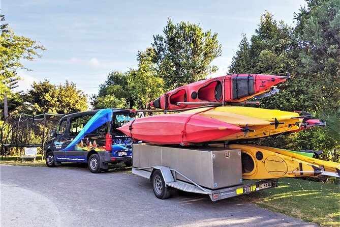 Tauranga: Evening Glowworm Kayak Tour - Who Should Consider This Activity?