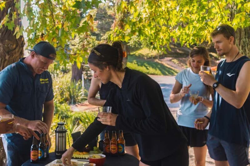 Tauranga: Evening Glowworm Kayak Tour - Who Would Love This Tour?